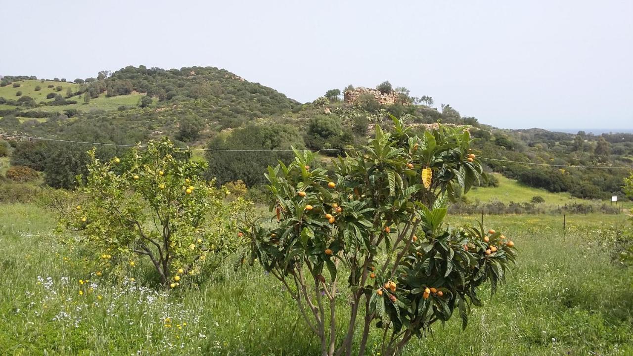 La Casetta Rosa แตร์เตนิอา ภายนอก รูปภาพ