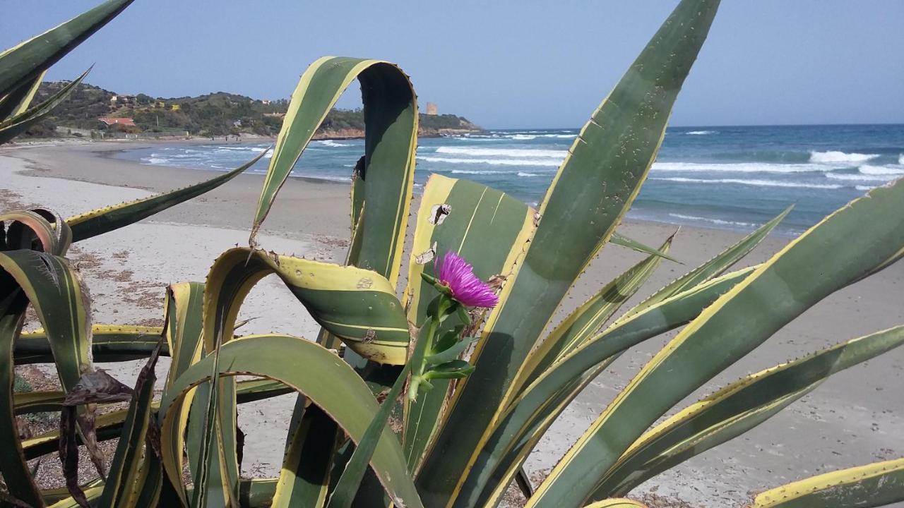 La Casetta Rosa แตร์เตนิอา ภายนอก รูปภาพ
