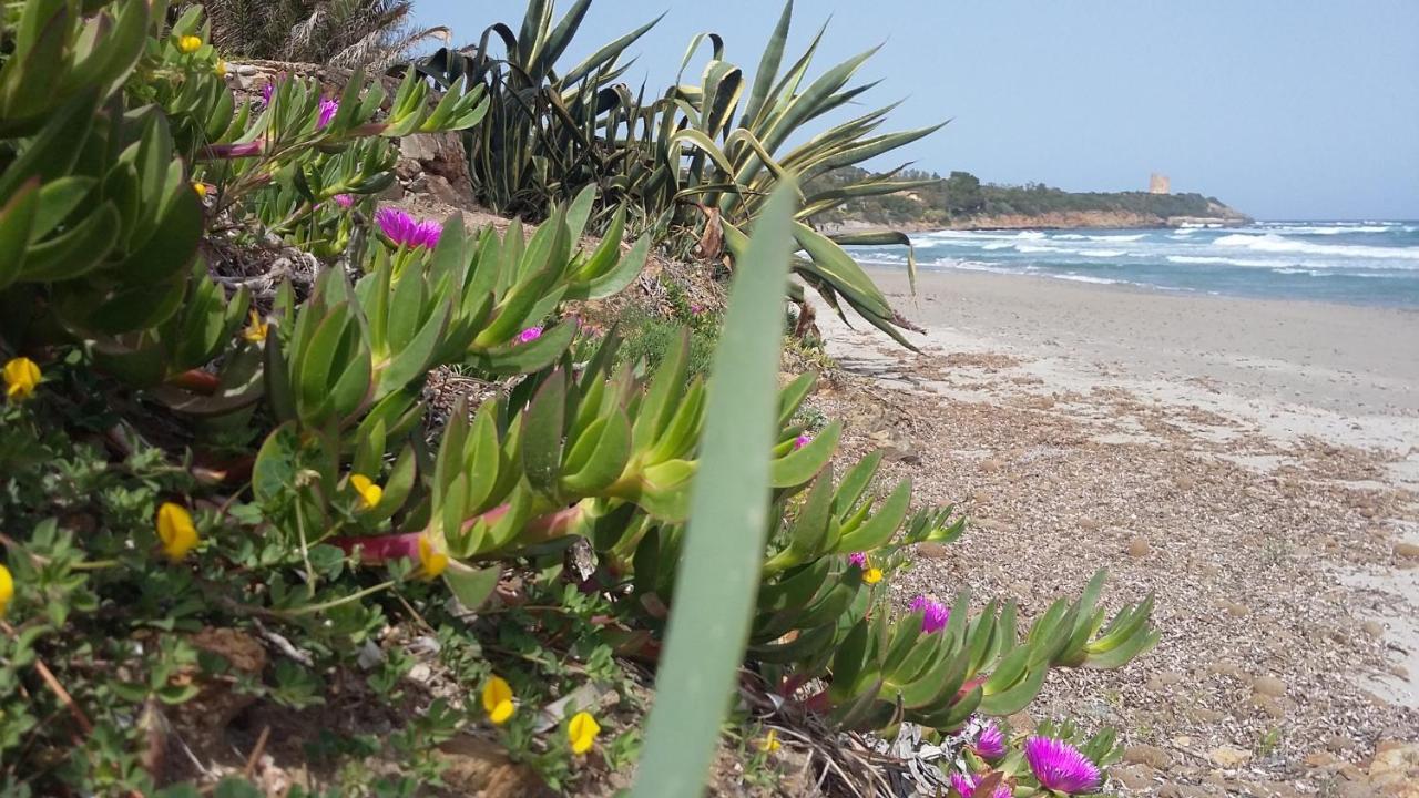 La Casetta Rosa แตร์เตนิอา ภายนอก รูปภาพ