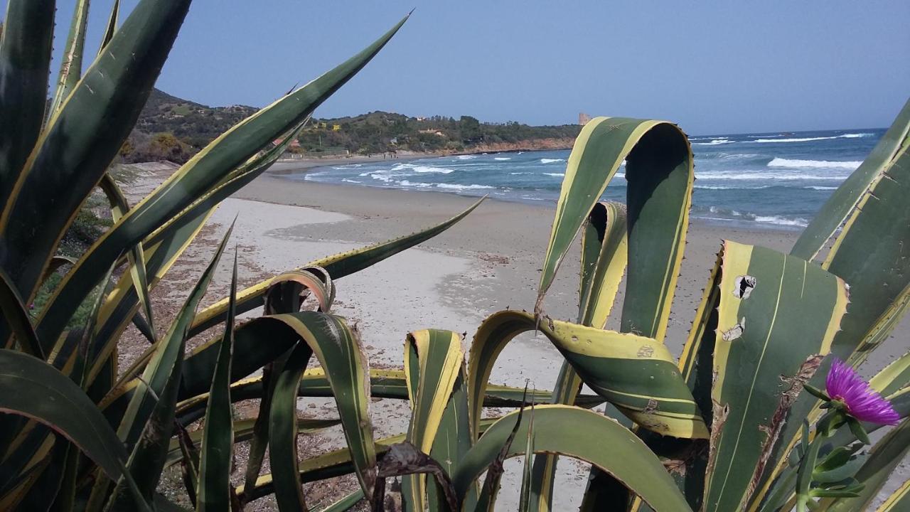 La Casetta Rosa แตร์เตนิอา ภายนอก รูปภาพ